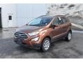 Canyon Ridge Metallic - EcoSport SE 4WD Photo No. 2