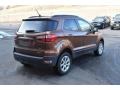 Canyon Ridge Metallic - EcoSport SE 4WD Photo No. 6