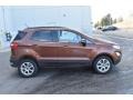 Canyon Ridge Metallic - EcoSport SE 4WD Photo No. 7