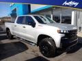 Silver Ice Metallic 2020 Chevrolet Silverado 1500 LT Trail Boss Crew Cab 4x4