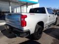 2020 Silver Ice Metallic Chevrolet Silverado 1500 LT Trail Boss Crew Cab 4x4  photo #3