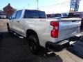 2020 Silver Ice Metallic Chevrolet Silverado 1500 LT Trail Boss Crew Cab 4x4  photo #5