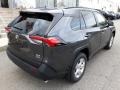 Magnetic Gray Metallic - RAV4 XLE AWD Photo No. 38