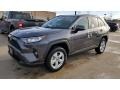 Magnetic Gray Metallic - RAV4 XLE AWD Photo No. 1