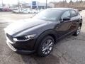 2020 Jet Black Mica Mazda CX-30 Select AWD  photo #5