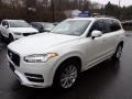 Ice White - XC90 T6 AWD Momentum Photo No. 8