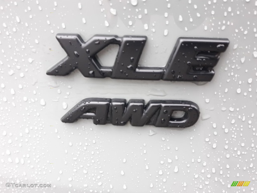 2020 Toyota RAV4 XLE AWD Marks and Logos Photo #136773253