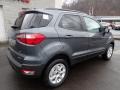 2020 Smoke Metallic Ford EcoSport SE 4WD  photo #2