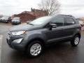 2020 Smoke Metallic Ford EcoSport SE 4WD  photo #7