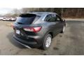 Magnetic Metallic - Escape SE 4WD Photo No. 7