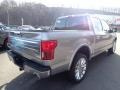 Iconic Silver - F150 Limited SuperCrew 4x4 Photo No. 2