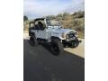  1979 Land Cruiser FJ40 Silver Metallic