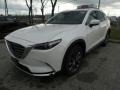 2020 Snowflake White Pearl Mica Mazda CX-9 Signature AWD  photo #3