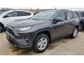 Magnetic Gray Metallic - RAV4 XLE AWD Photo No. 1