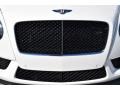 2015 Arctica Bentley Continental GT V8 S Convertible  photo #18