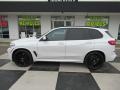Alpine White - X5 xDrive40i Photo No. 1