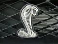 Black - Mustang Shelby GT500 Coupe Photo No. 47