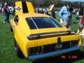 Trans Am - Mustang BOSS 302 Photo No. 4