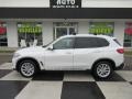 Alpine White - X5 xDrive40i Photo No. 1