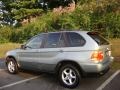 Steel Grey Metallic - X5 3.0i Photo No. 2
