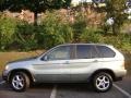 Steel Grey Metallic - X5 3.0i Photo No. 10