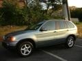 Steel Grey Metallic - X5 3.0i Photo No. 13