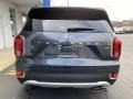 Steel Graphite - Palisade SEL AWD Photo No. 5