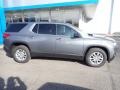 Satin Steel Metallic - Traverse LS AWD Photo No. 3