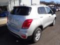 Silver Ice Metallic - Trax LT Photo No. 4