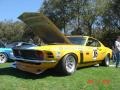 Trans Am - Mustang BOSS 302 Photo No. 8