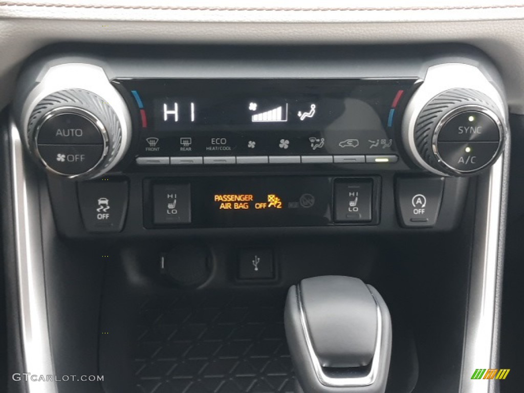 2020 Toyota RAV4 XLE Premium AWD Controls Photo #136875822