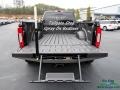 2020 Agate Black Ford F450 Super Duty Platinum Crew Cab 4x4  photo #13