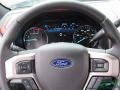 2020 Agate Black Ford F450 Super Duty Platinum Crew Cab 4x4  photo #17