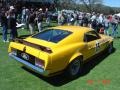 Trans Am - Mustang BOSS 302 Photo No. 9