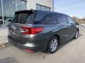 2020 Forest Mist Metallic Honda Odyssey EX-L  photo #7