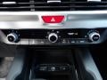 2020 Kia Telluride Black Interior Controls Photo