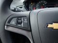 Mosaic Black Metallic - Trax LT AWD Photo No. 19