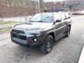 Magnetic Gray Metallic - 4Runner Venture Edition 4x4 Photo No. 44