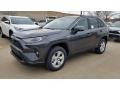 Magnetic Gray Metallic - RAV4 XLE AWD Hybrid Photo No. 1