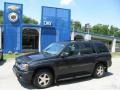 2007 Graphite Metallic Chevrolet TrailBlazer LS 4x4  photo #1