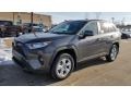 Magnetic Gray Metallic - RAV4 XLE AWD Photo No. 1