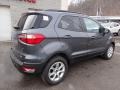 Smoke Metallic - EcoSport SE Photo No. 2