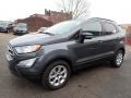 Smoke Metallic - EcoSport SE Photo No. 7