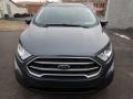 Smoke Metallic - EcoSport SE Photo No. 8