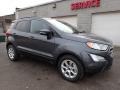 Smoke Metallic - EcoSport SE Photo No. 9