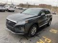 2020 Rainforest Hyundai Santa Fe SEL AWD  photo #6