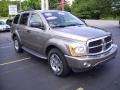 Light Khaki Metallic - Durango Limited 4x4 Photo No. 6