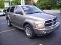 2005 Light Khaki Metallic Dodge Durango Limited 4x4  photo #6