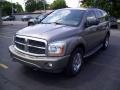 2005 Light Khaki Metallic Dodge Durango Limited 4x4  photo #8