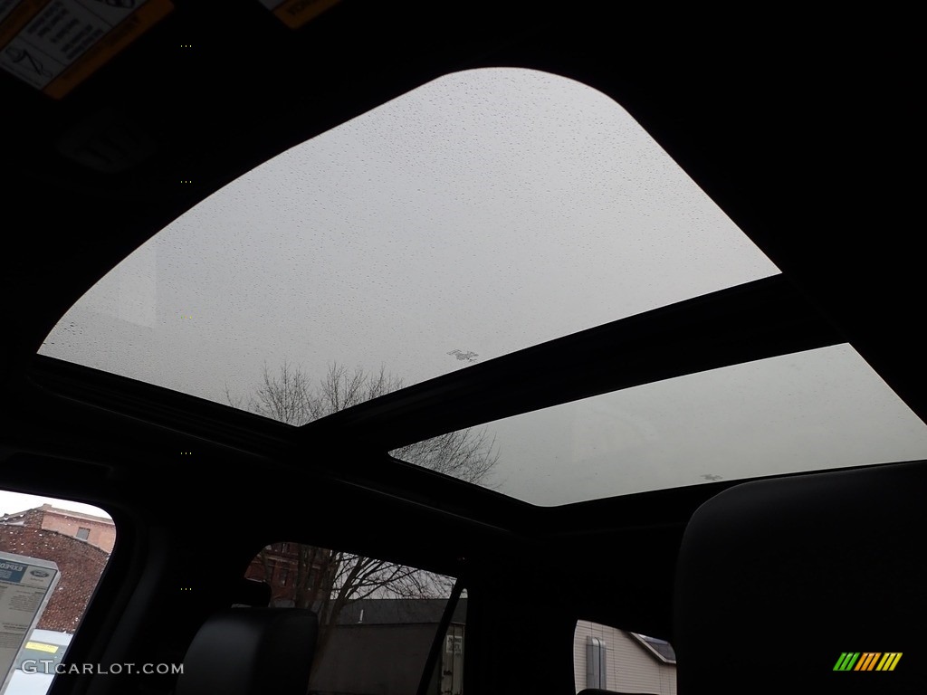 2020 Ford Expedition XLT 4x4 Sunroof Photo #136953852